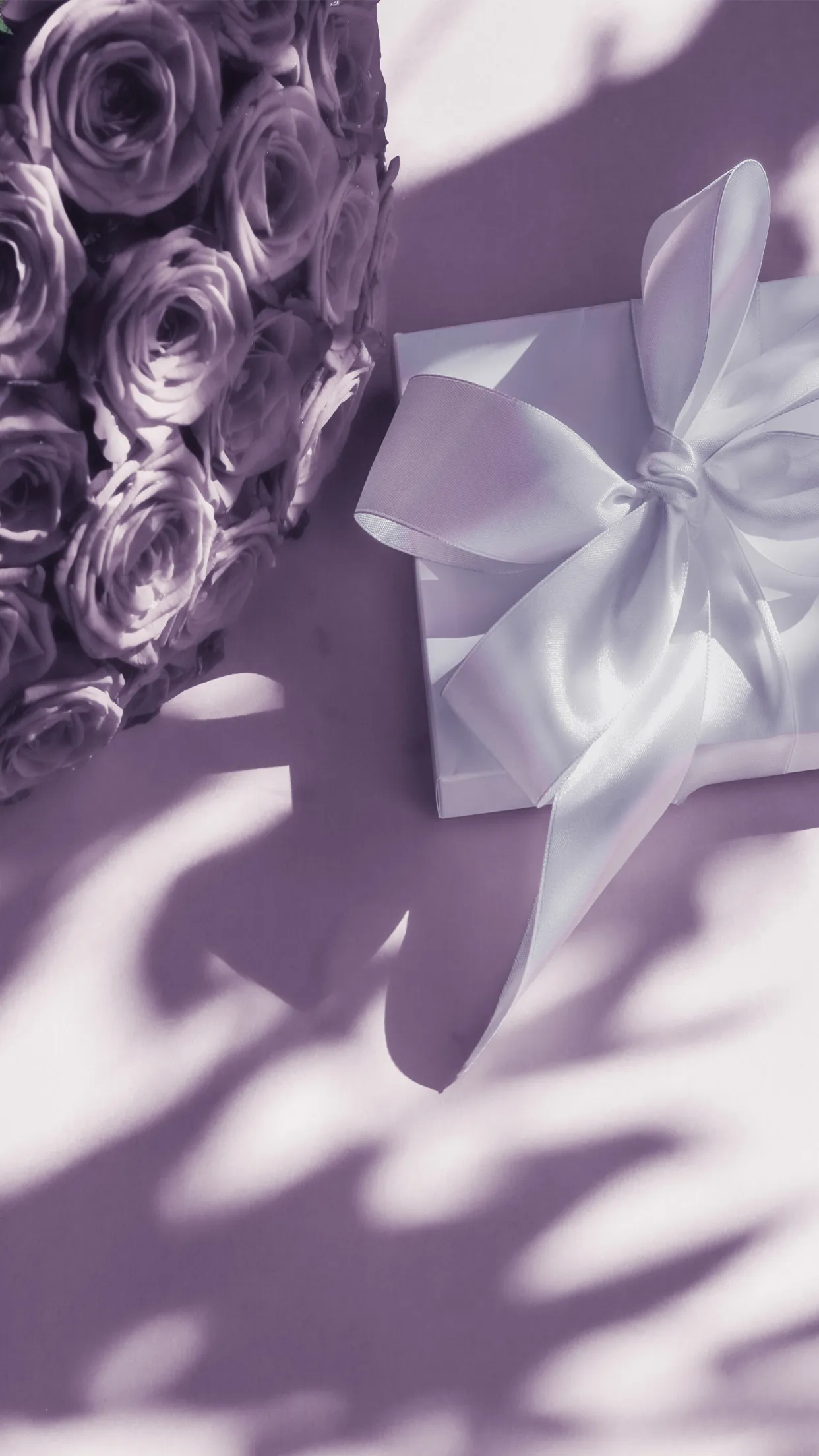 anniversary_0002.webp