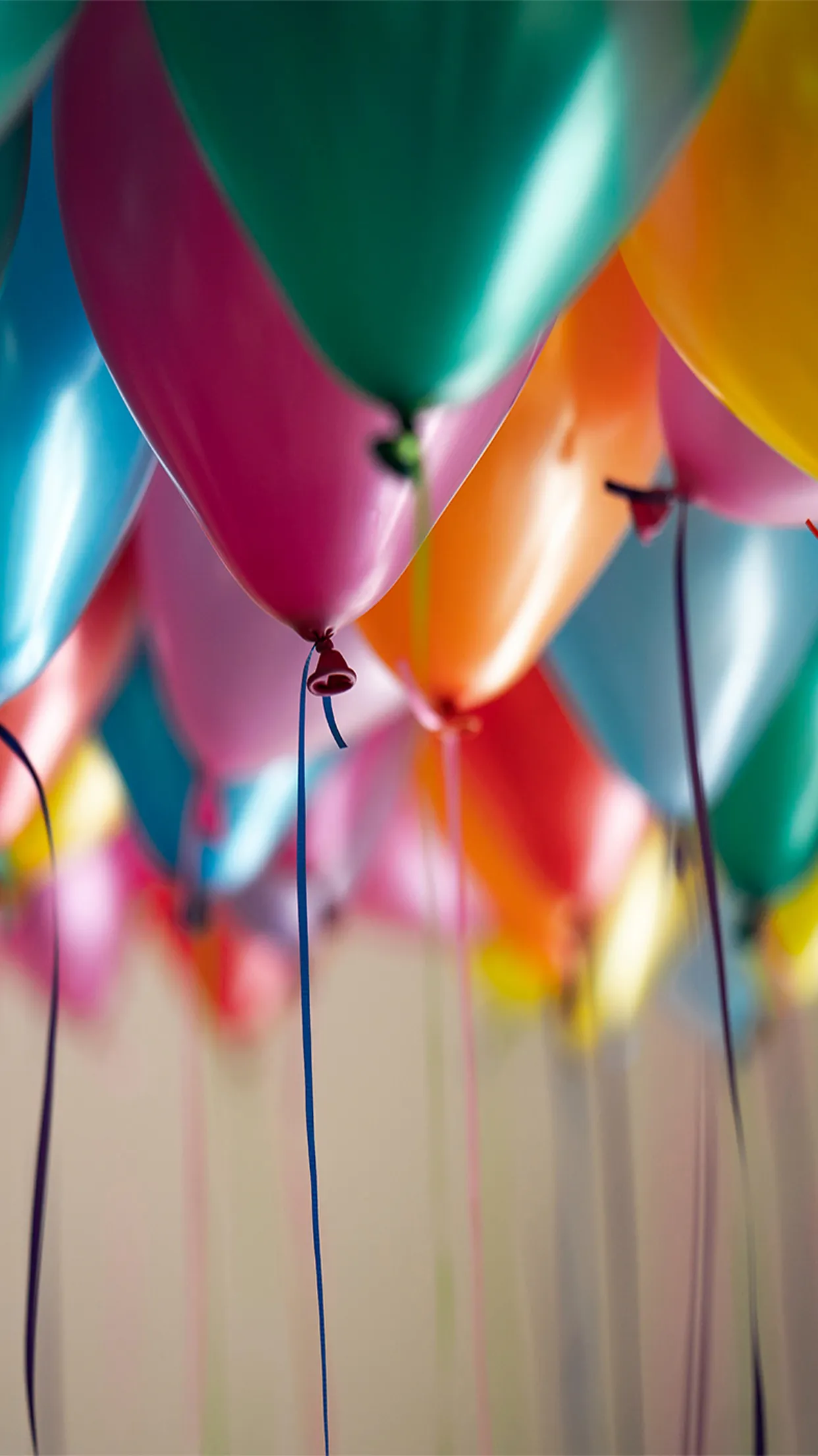 birthday_0012.webp
