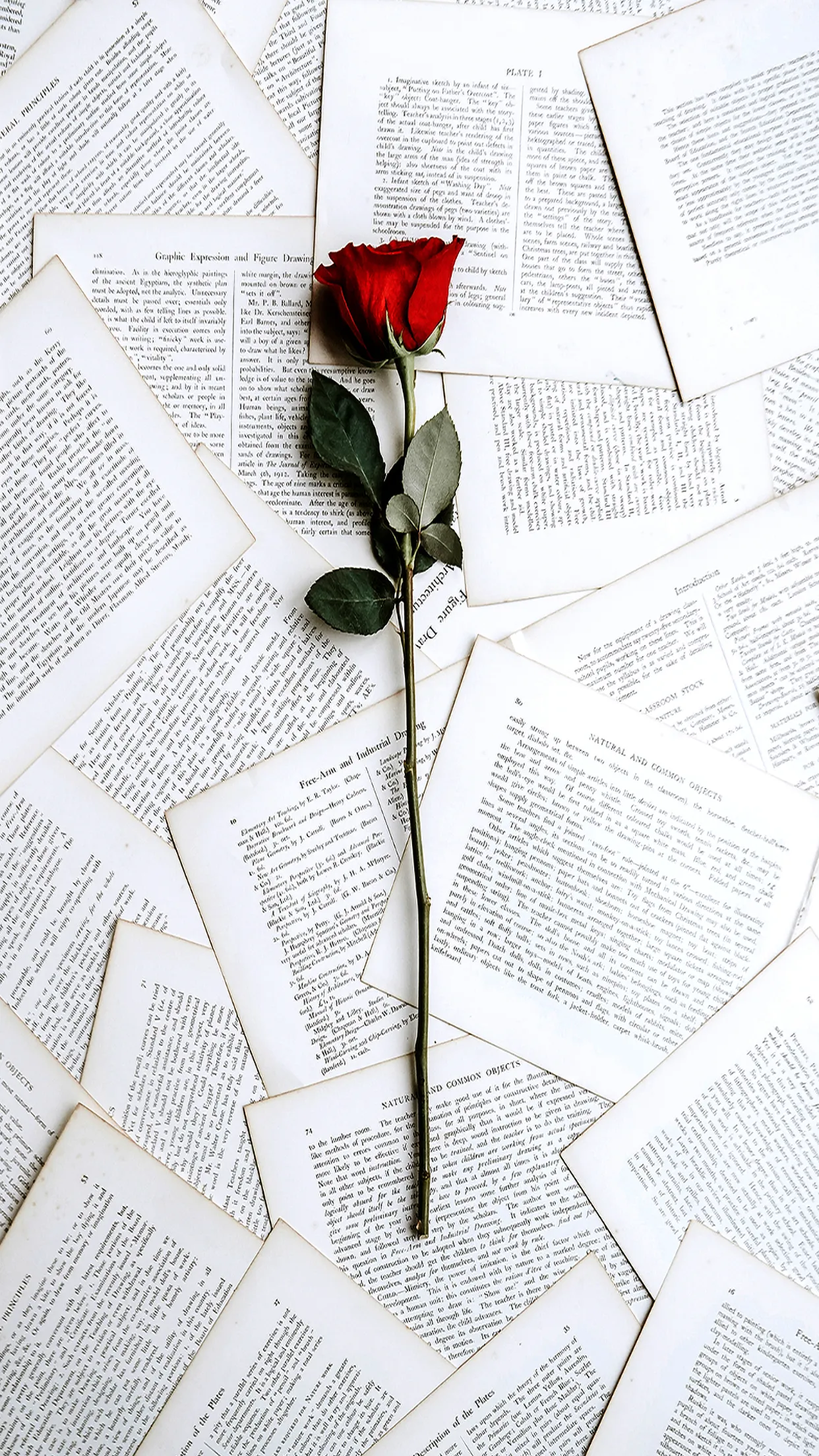 love_0004.webp