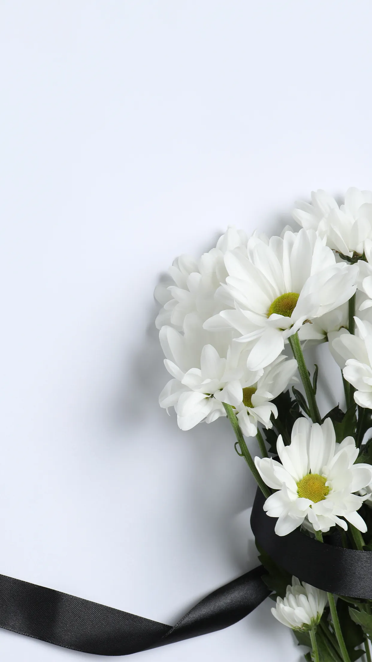 mourn_0003.webp