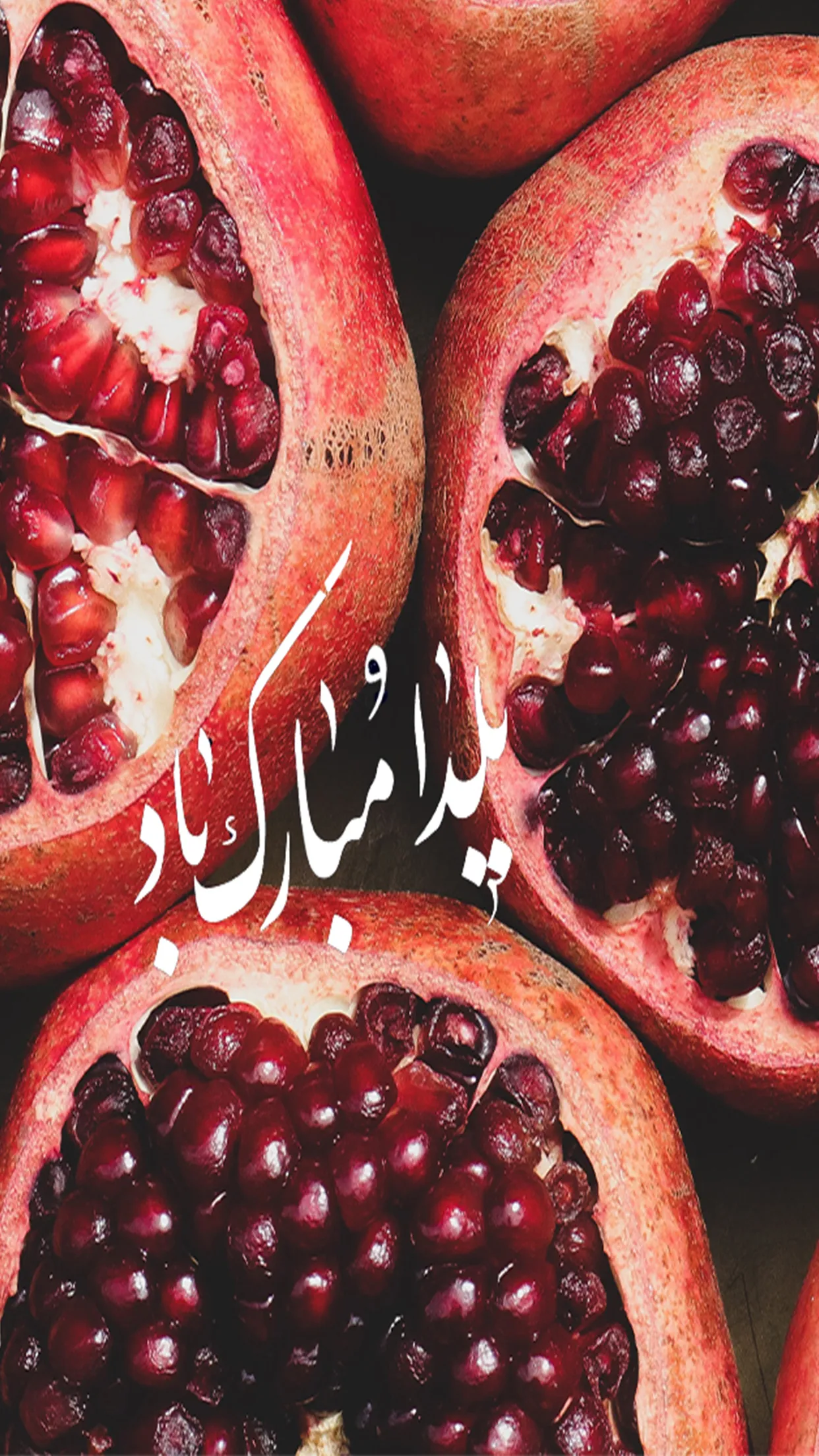yalda_0002.webp